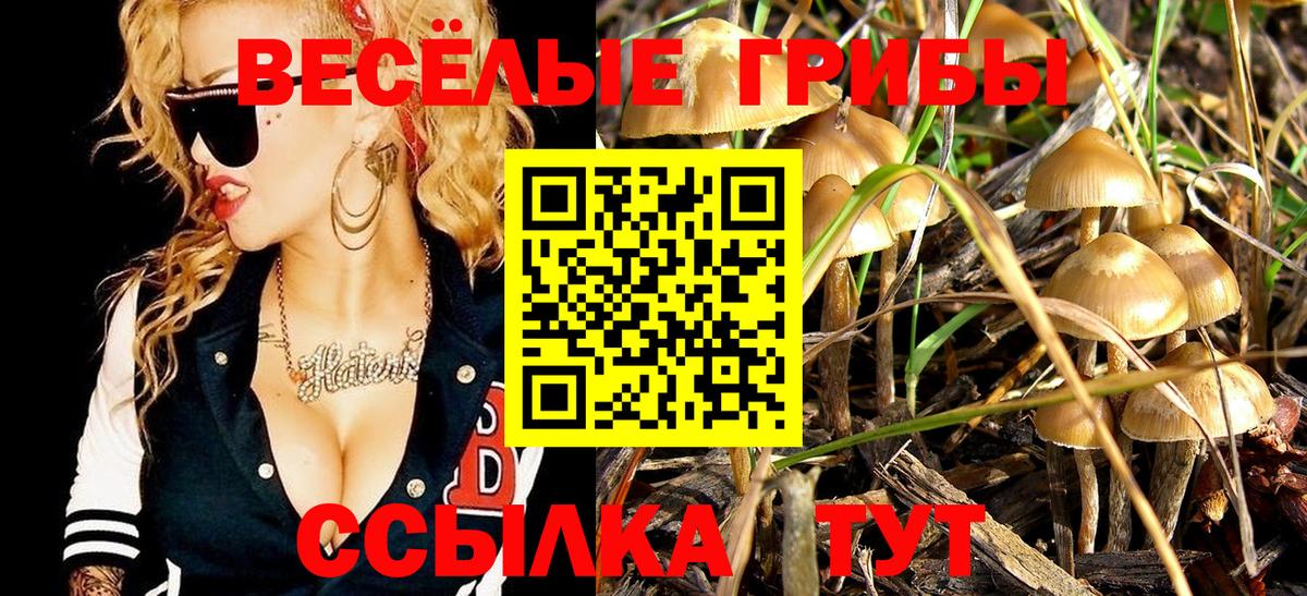 Галлюциногенные грибы Psilocybine cubensis  Вход с VPN  Великий Устюг 