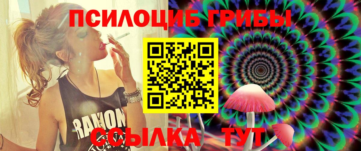 Галлюциногенные грибы Psilocybine cubensis Великий Устюг